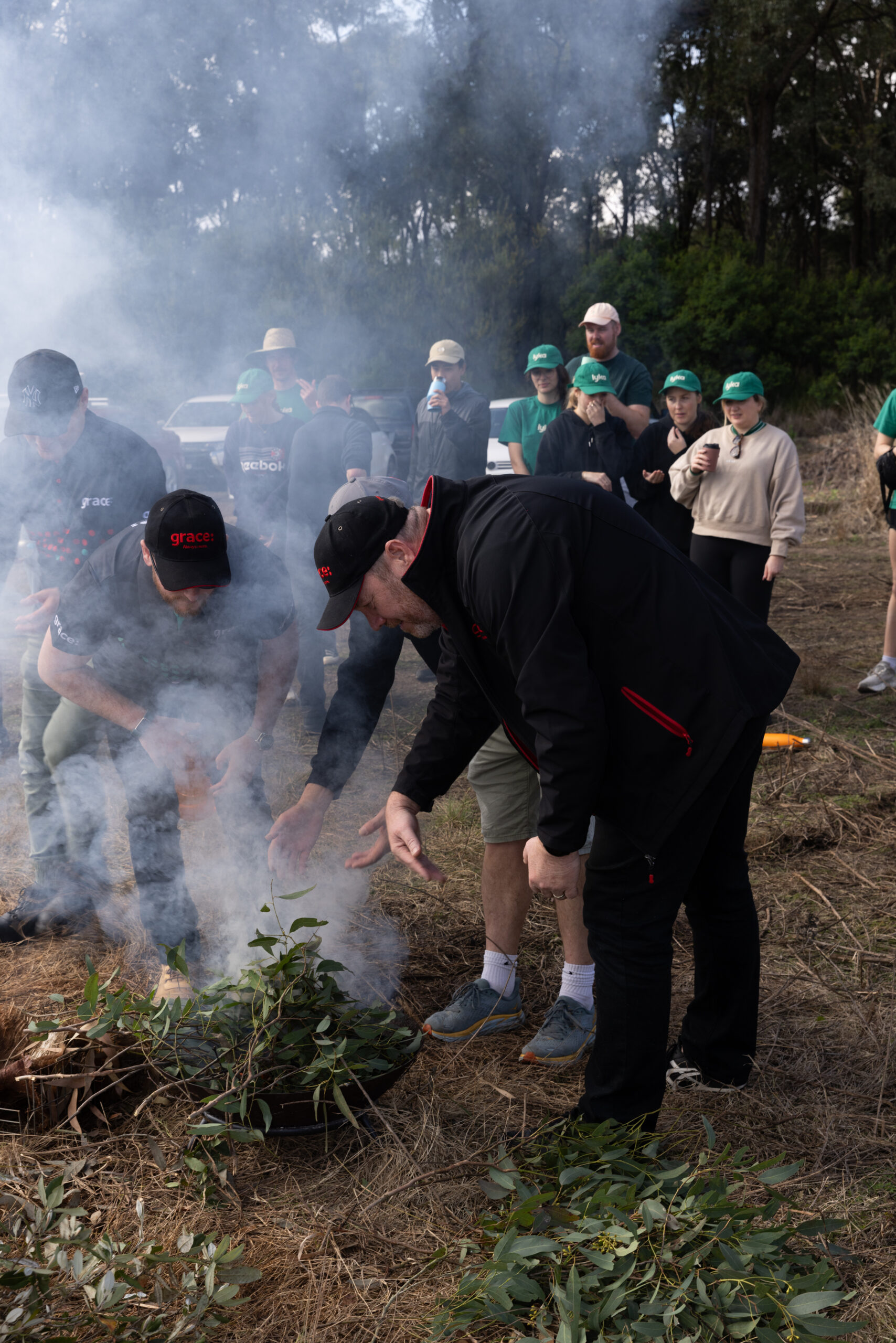 Sydney team helps grow native forests for Greenfleet