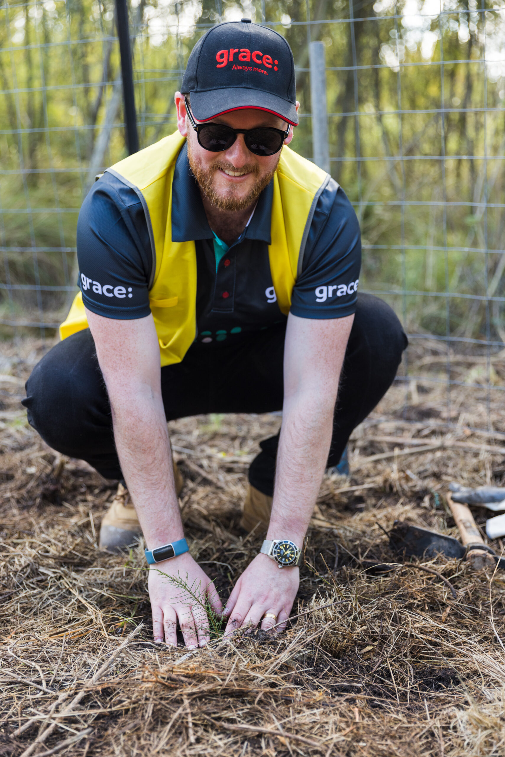 Sydney team helps grow native forests for Greenfleet